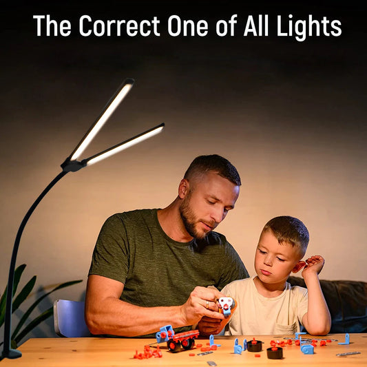 Dual-Head LED Home Office Desk Lamp