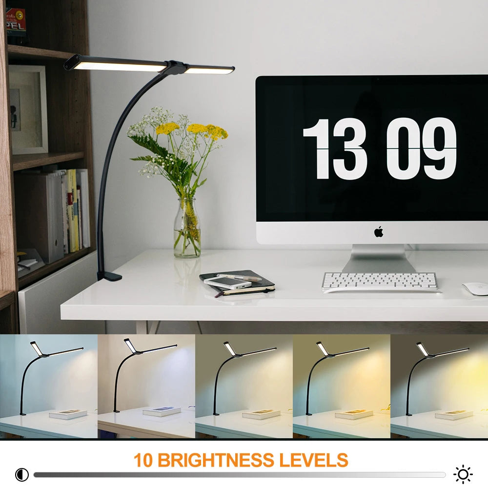 Dual-Head LED Home Office Desk Lamp