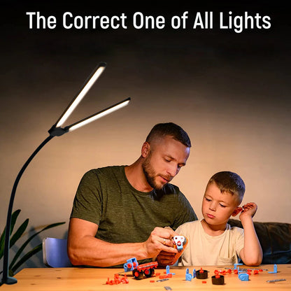 Dual-Head LED Home Office Desk Lamp