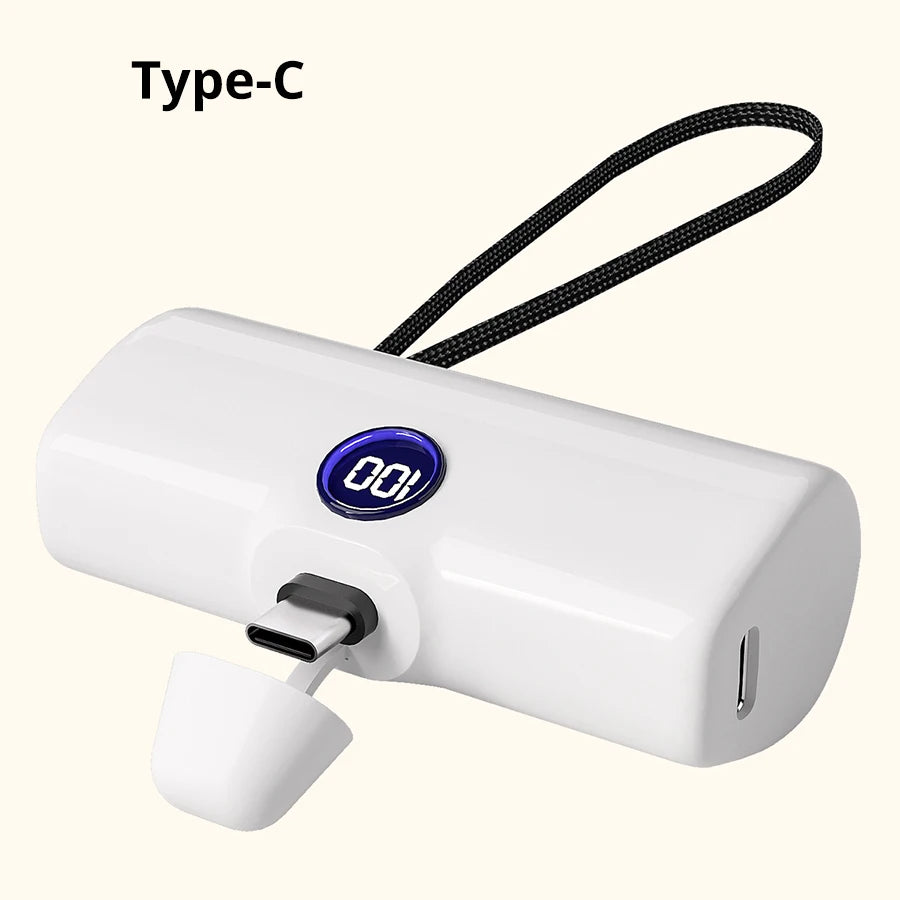 Fast Charging Power Bank